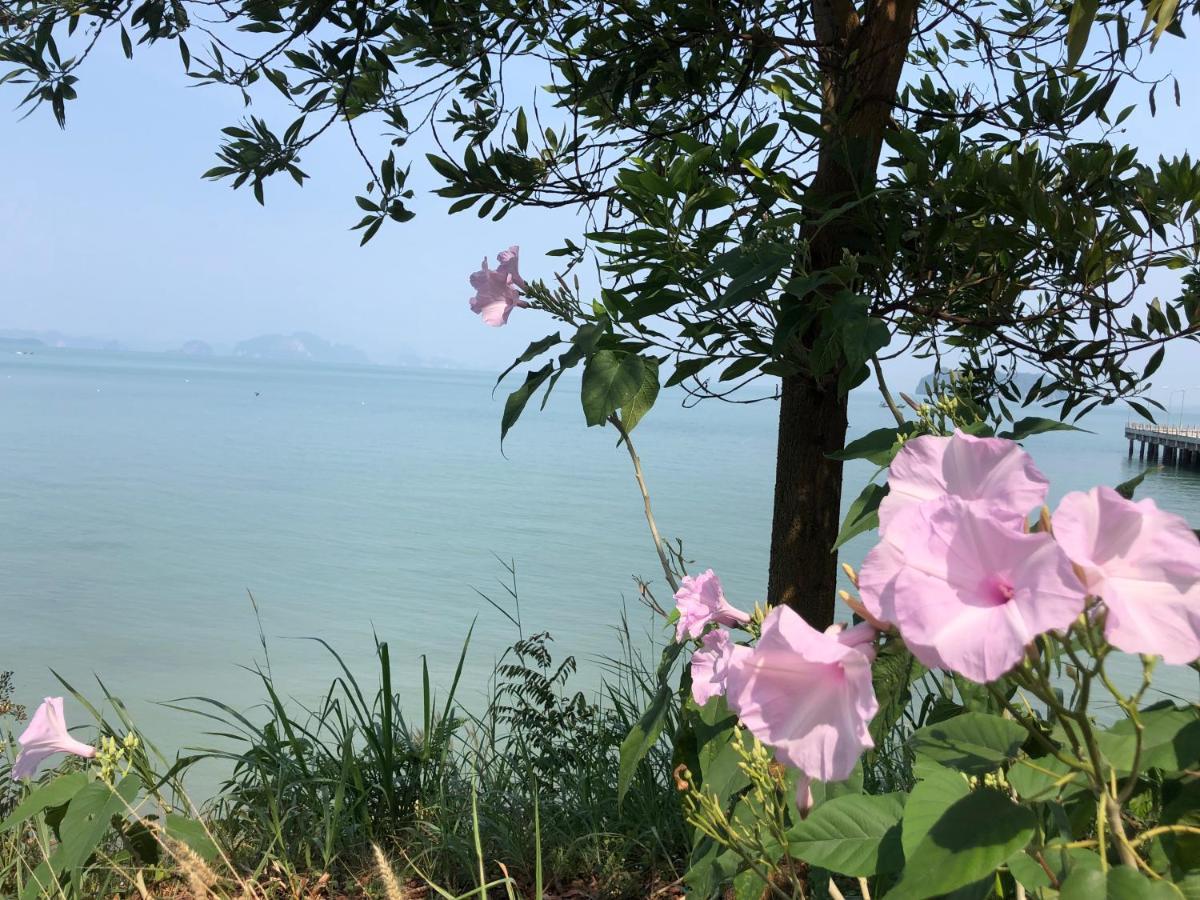 Fisherman Guesthouse 코야오노이 외부 사진